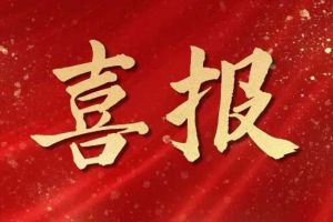 雀跃欢呼 | 乐动（中国）官方乐动网页版荣膺佬麻雀“最佳战略合作伙伴”