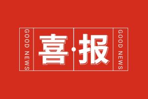 喜报！乐动（中国）官方乐动网页版党支部党建工作荣获多项市级表彰